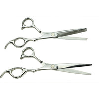 Salon Professional Cutting and Thinning Scissor Set