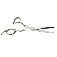 Salon Professional Cutting and Thinning Scissor Set