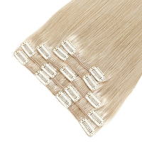 Clip In Hair Extensions #18a Ash Blonde 13"