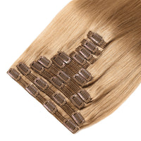 Clip In Hair Extensions #27 Bronzed Blonde Mix 21" 130 Grams SALE