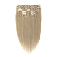Clip In Hair Extensions #18a/1001 Ash and Pearl Blonde Mix 13"