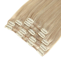 Clip In Hair Extensions #18a/1001 Ash and Pearl Blonde Mix 13"