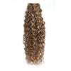 Weft curly Hair Extensions Bronze Blonde and Chestnut Brown