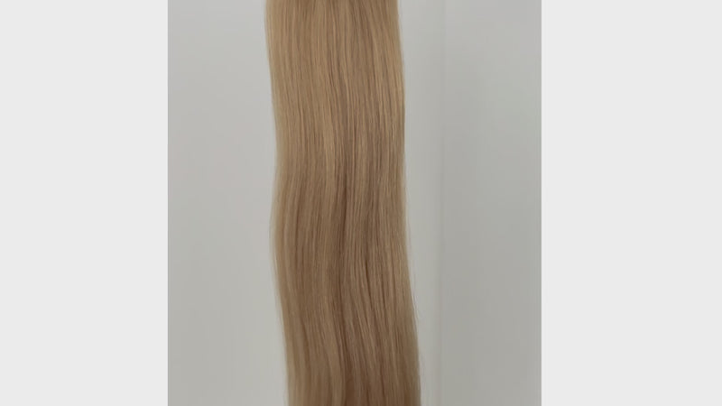 Clip In Hair Extensions #22 Sandy Blonde 17"