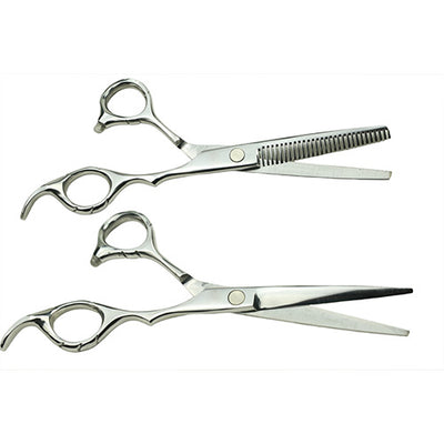Salon Professional Cutting and Thinning Scissor Set