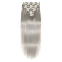 Clip In Hair Extensions #S1 Grey 17"